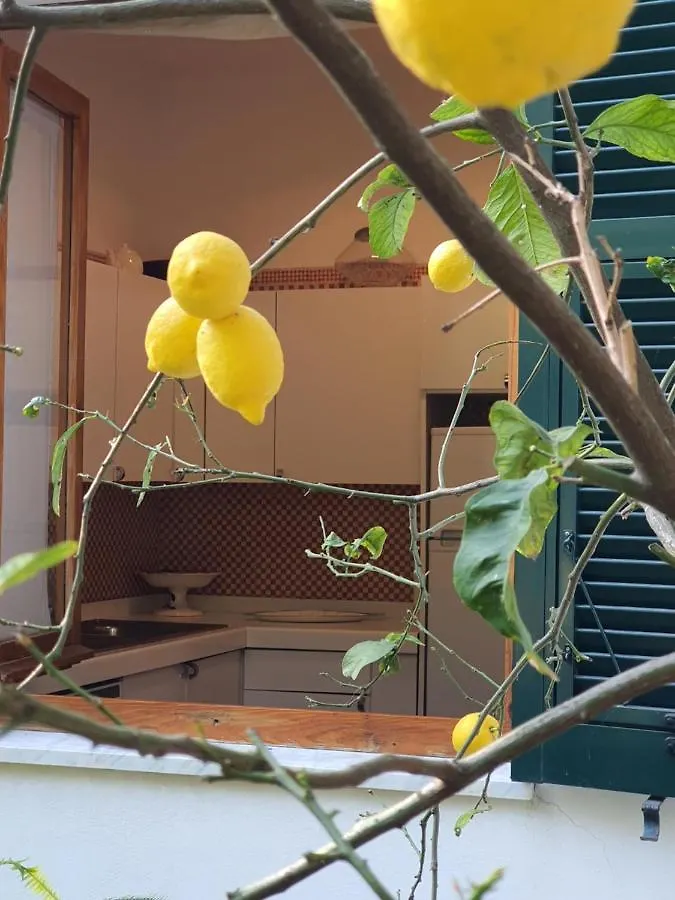 Michelina Seconda Lägenhet Rapallo